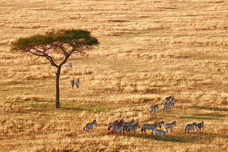 4-Day Camping on the Big Five Private Safari