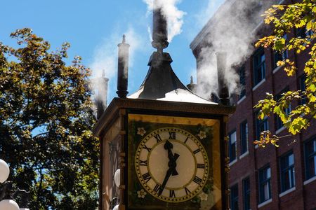 Half-day Vancouver City Tour & Lookout Tower