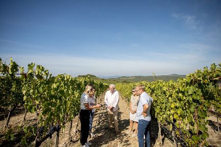 Winery Tour & Gourmet Tasting in Montalcino