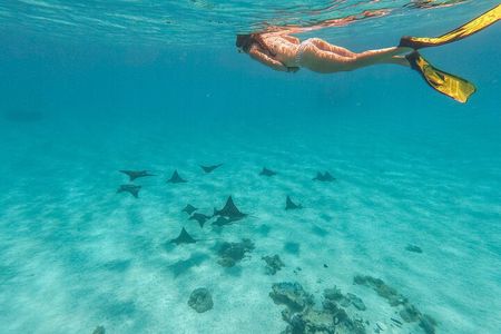 SHARED FULL DAY CULTURAL & LAGOON TOUR - Bora Bora Cultural Lagoon Tour