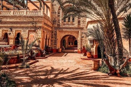 Crocodile Park+ Coco Polizzi including Transportation and entrance