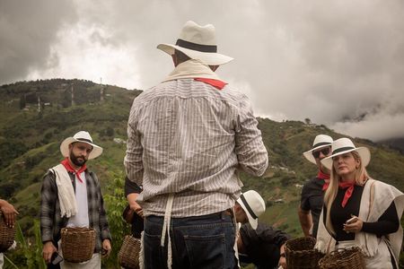 Best Coffee Tour from Medellin with Lunch and Transportation