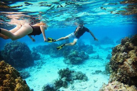 Mo'orea Half Day Private Tour with Snorkeling and Cruising the Lagoon 