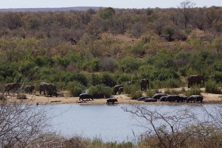 Economic 1-Day Kruger Safari from Maputo