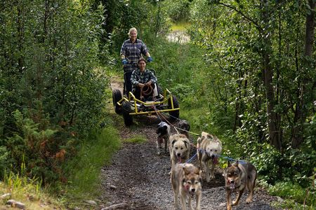 Dog Cart Tour and Puppy Cuddles 