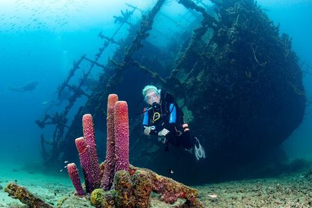Aruba One or Two Tank Scuba Dive