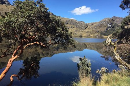 Cajas National Park Small-Group tour from Cuenca