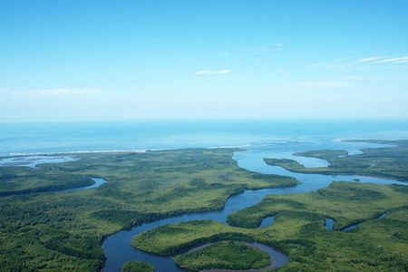 One Day Tour To Térraba-Sierpe Mangrove By Boat From Sierpe