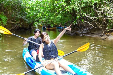 Okinawa Iriomote Mangrove SUP or Canoe Tour