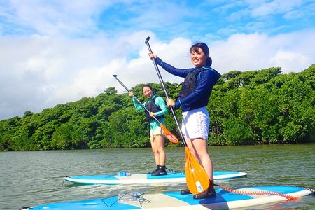 Okinawa Ishigaki Mangrove SUP or Canoe Tour