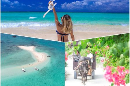 Ishigaki Phantom Island Snorkeling Taketomi Island Sightseeing