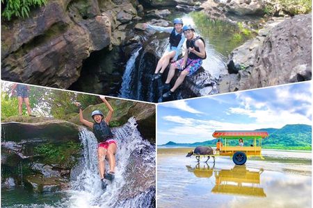 Iriomote Island 1 Day Canyoning & Yubu Island Sightseeing