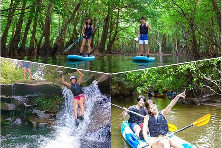 Okinawa Iriomote Mangrove SUP or Canoe and Splash Canyoning Tour