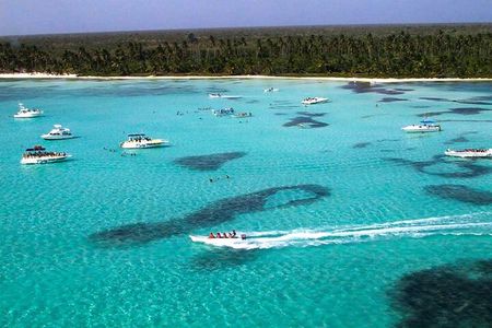 6 + 1 Full Day Isla Saona Tour and Snorkel in Natural Pool Mangroves punta cana