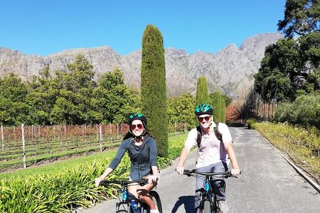 Franschhoek Cycle Experience Half Day - Private Tour