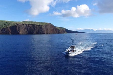Maui to Lanai Semi-Private Eco Raft Snorkel & Dolphin Tour
