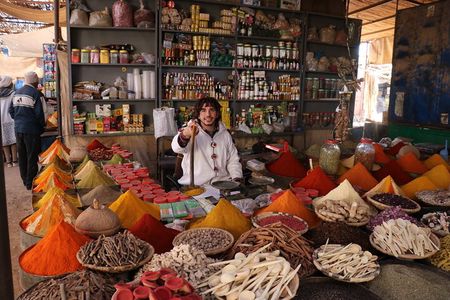 Half Day Guided City Tour Of Marrakech With A Professional Guide