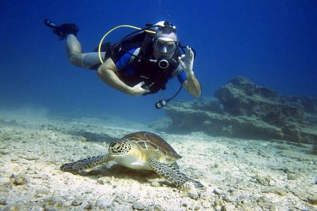 Private Discovery Dive + Photos & Videos