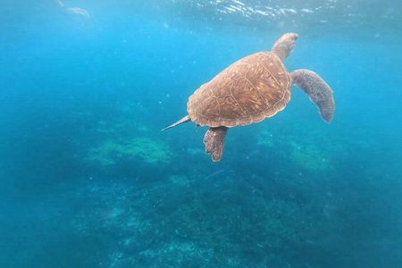 Snorkeling Experience in Santa Maria Bay by boat