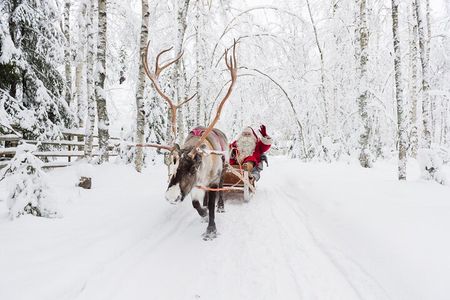Reindeer Sleigh Ride and Farm Experience from Rovaniemi