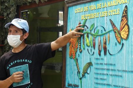 Butterfly Sanctuary and Lunch Experience with Transport