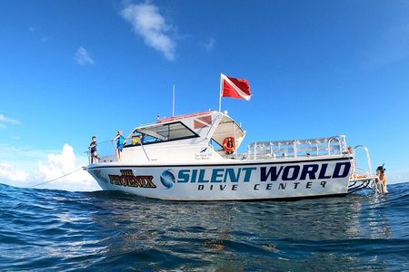 Small - Guided Shallow 2 Tank Dive Experience in Key Largo ALL GEAR INCLUDED