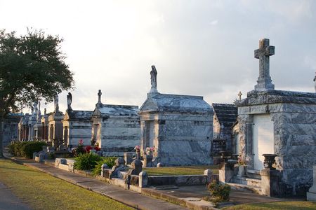 New Orleans Small-Group City Tour by Van