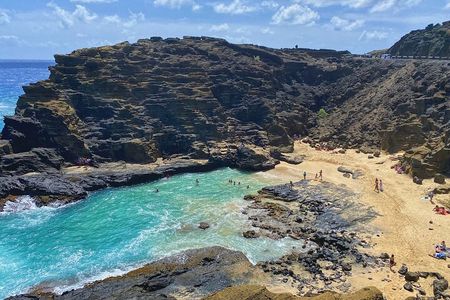 Oahu Island Experience feat the North Shore (Small Group Tour)