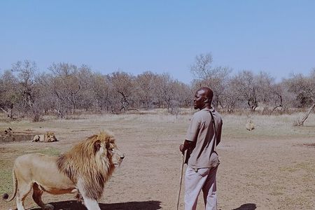 Guided Walking with Lions Bush-walk Tour