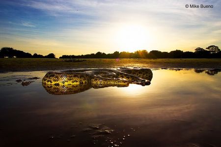 3-day Pantanal Wildlife Tour with accommodation- Departing from Cuiaba