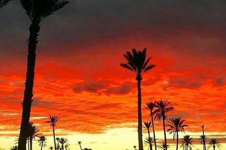 1 Day Excursion from Marrakech to Imlil
