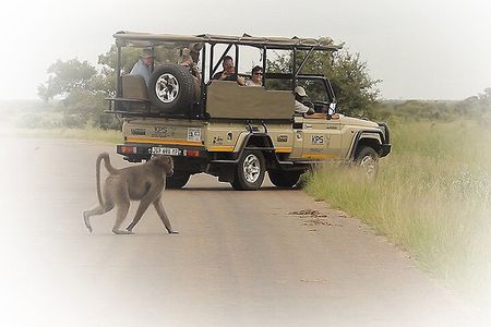  3 Night & 4 Day Private Kruger Park Safari