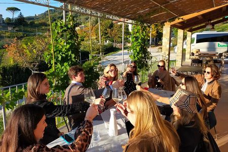 Private wine tour on the magical hills of Lucca (2 wineries)