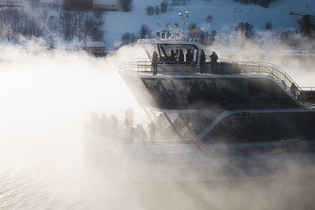 Half Day Arctic Fjord Cruise from Tromso