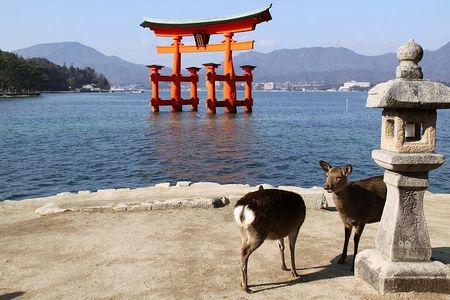 Hiroshima and Miyajima 1 Day Private Tour from Kyoto or Osaka