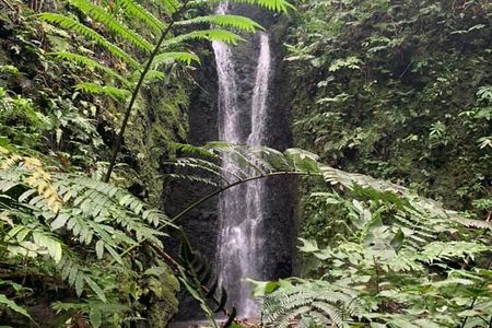 Half-Day Guided Hike to Afareaitu Waterfall