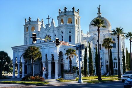 All day Galveston Tour From Houston with Tall Ship Elissa & Dolphin Watch