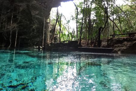 Five Cenotes Jungle Experience in the Riviera Maya
