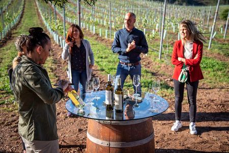 Guided Winery tour and Wine tasting in Pontevedra