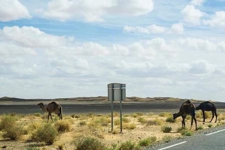 Morocco Tour 11 Days from Tangier