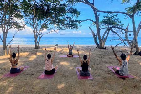 Hike and Yoga Jungle Experience