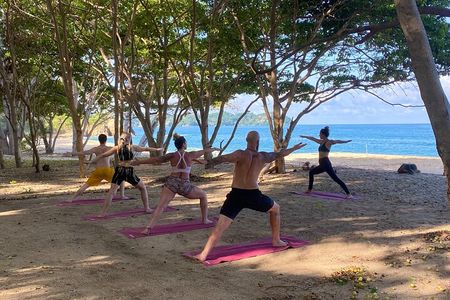 Hike and Yoga Jungle Experience