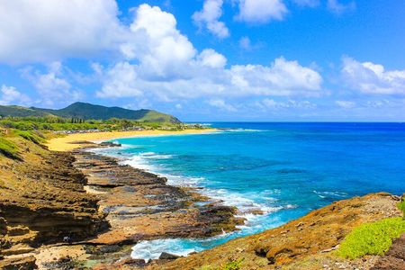 North Shore & Waimea Waterfall