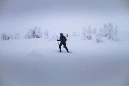 SNOWSHOEING The white walk