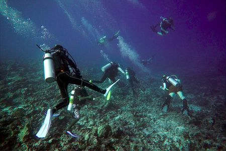 Scuba Diving Trips to Daymaniyat Islands