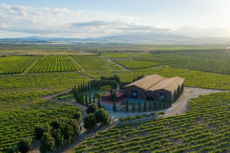 Discover La Rioja: Guided Winery Tour & Wine Tasting