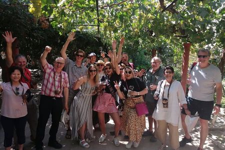 Maipo Valley litle wine bus from Santiago