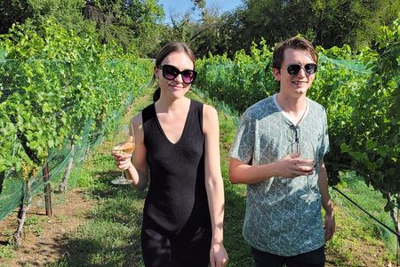 Private Wine Tasting Experience