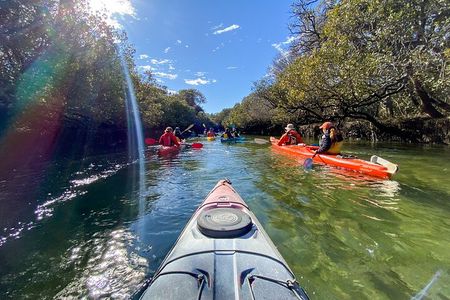 Adelaide Dolphin Sanctuary and Ships Graveyard Kayak Tour