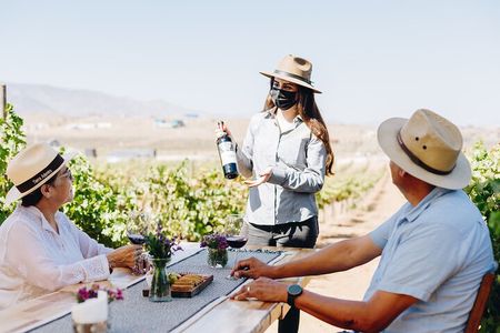 Tasting and tour through the vineyard